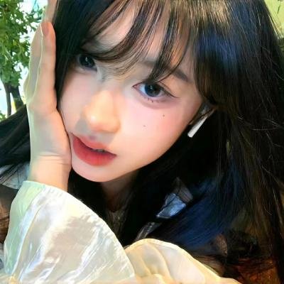 狮子护卫队第一季